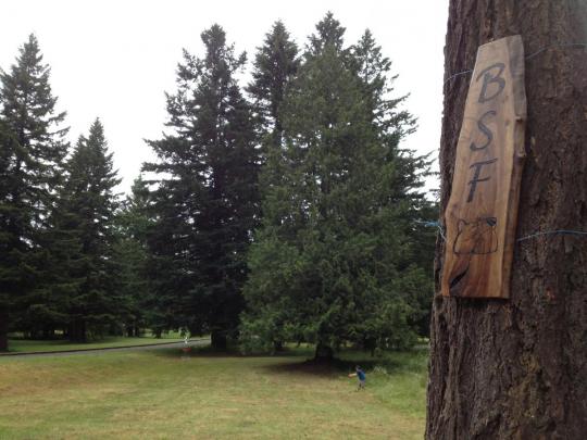 Beaver State Fling 2012: Oregon's Biggest and Baddest disc golf Tournament