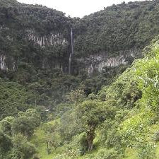 Columnas de Tangan