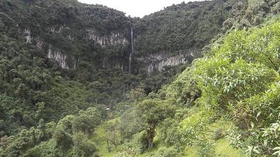 Columnas de Tangan