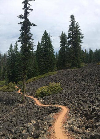 Thru-Hiking Oregon on the PCT