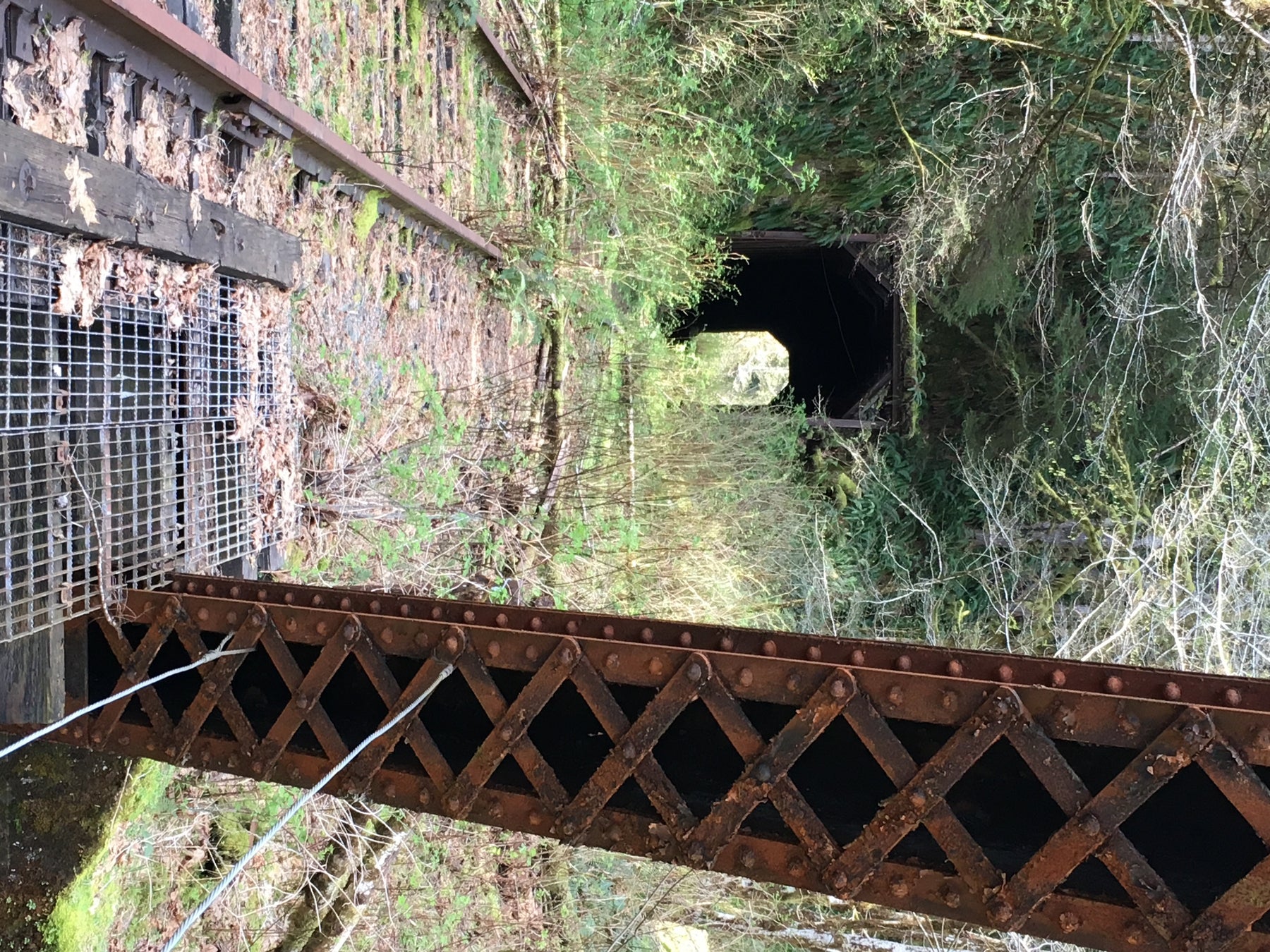 Trip Report: Lower Salmonberry River Hike