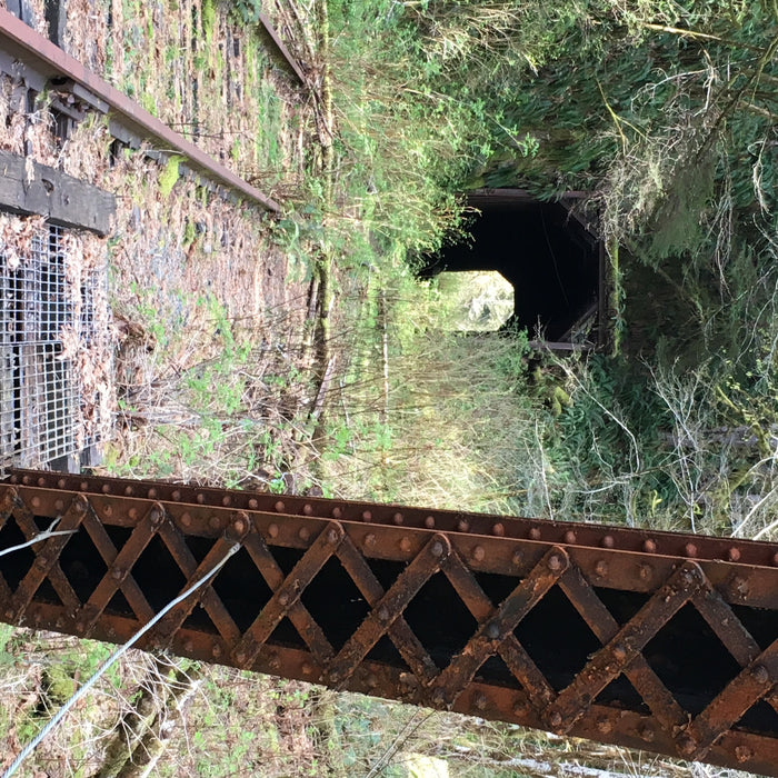 Trip Report: Lower Salmonberry River Hike