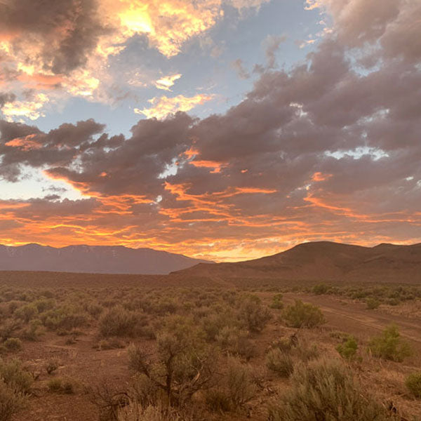 Oregon Desert Sunset