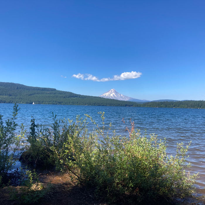 Hiking Timothy Lake and Little Crater Lake in the Mount Hood National Forest