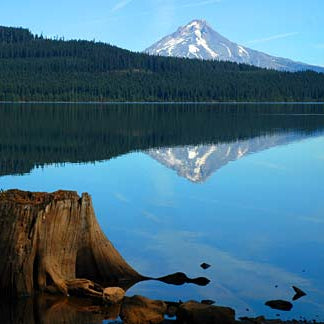 Timothy Lake