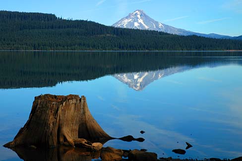 Timothy Lake