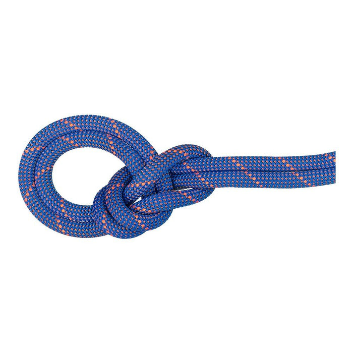 Mammut 9.0 CRAG SENDER DRY CLIMBING ROPE - Next Adventure