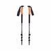 Black Diamond TRAIL CORK TREKKING POLES - Next Adventure